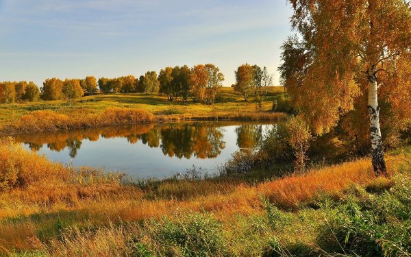 Природа России осенью- лес река