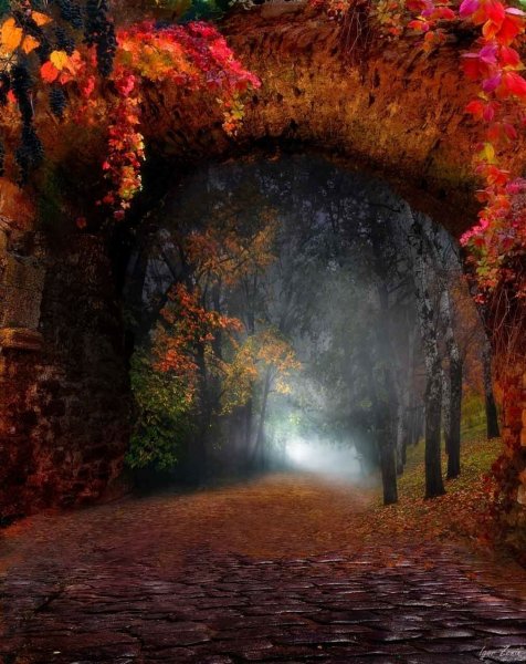 Сказочная осень