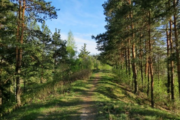 Городецкий Земляной вал