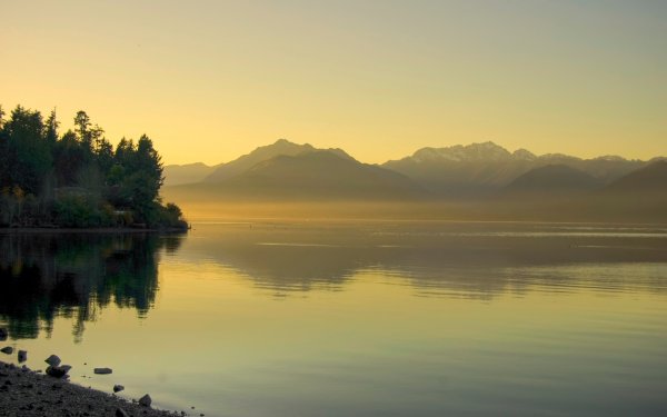 Лес озеро солнце