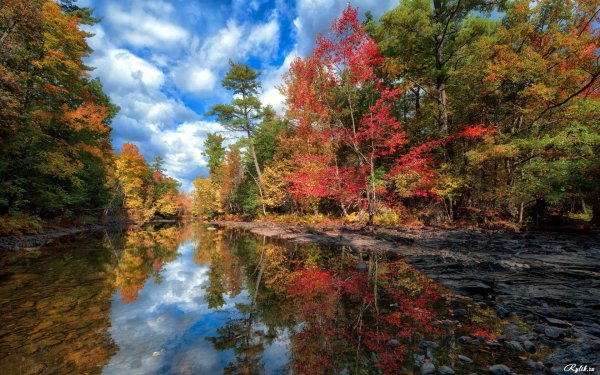 Краски осени