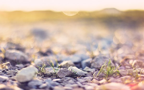 Природа макро