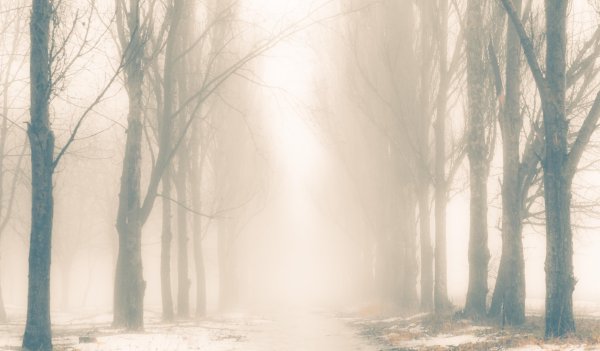 Нейтральный пейзаж