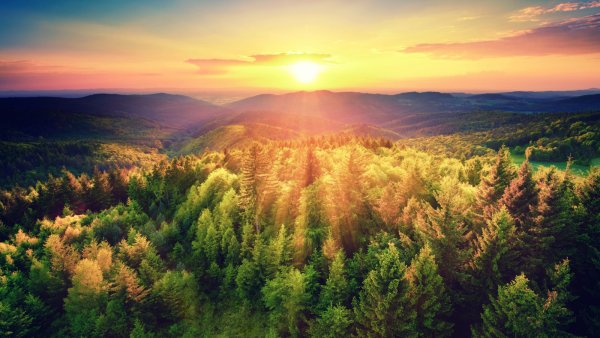 Телевизор Hisense 40 дюймов