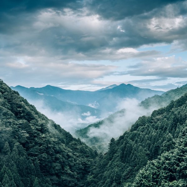 Горы в тумане