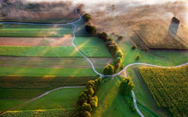 Поле с высоты птичьего полета