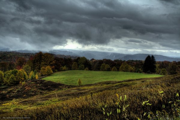 Пасмурный луг