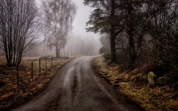 Пасмурная осень