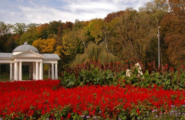 Орел на горе Машук в Пятигорске