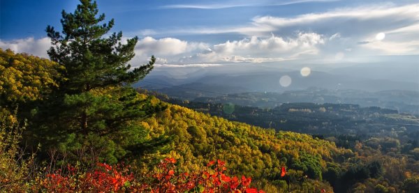 Золотая осень Ессентуки