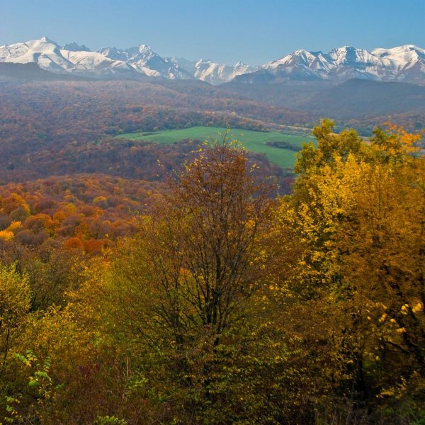 Эолова арфа Пятигорск осень