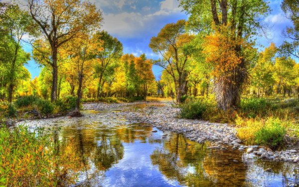 Пейзажи природы