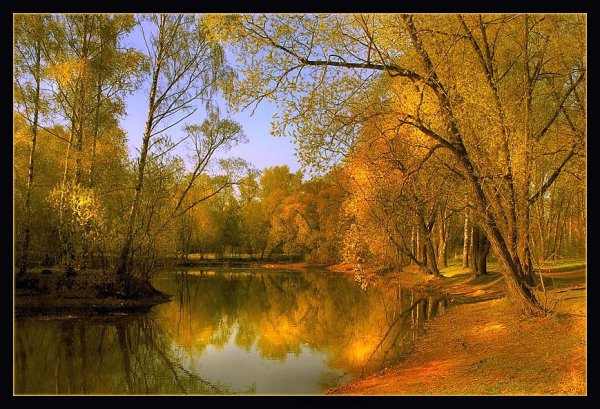 Пейзаж золотистый фильтр
