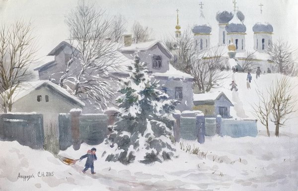 Андрияка сосны