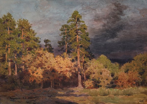 Сергей Николаевич Андрияка художник