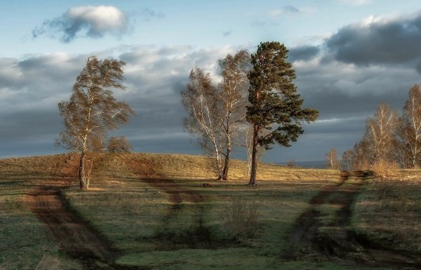 Пейзаж с ветром