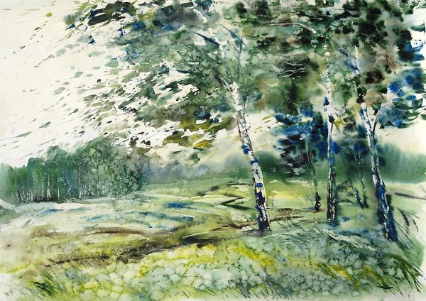 Береза акварелью