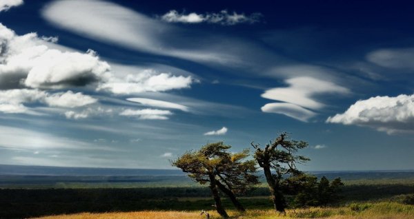 Ветер в природе