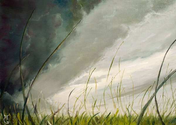 Пейзаж с ветром