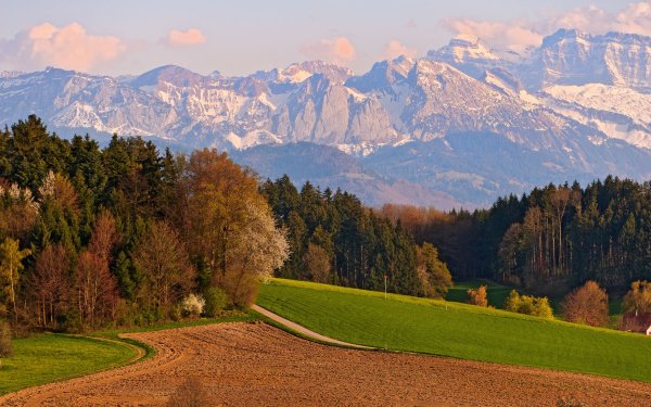 Швейцария Альпы лес