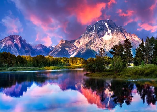 Яркая природа