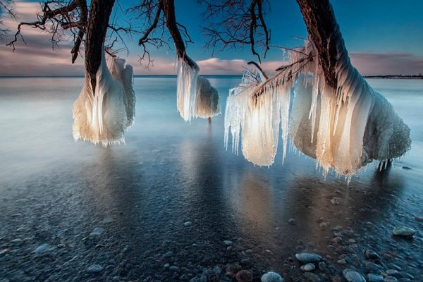 Необычная природа