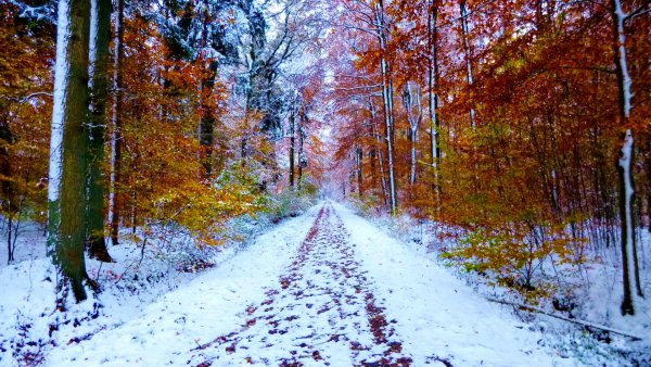 Снег осенью