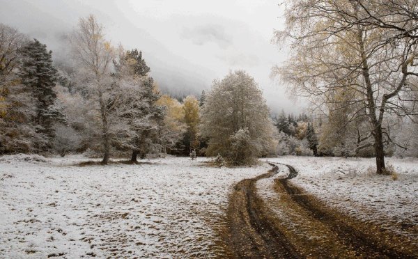 Поздняя осень снег
