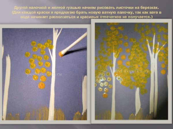 Береза ватными палочками