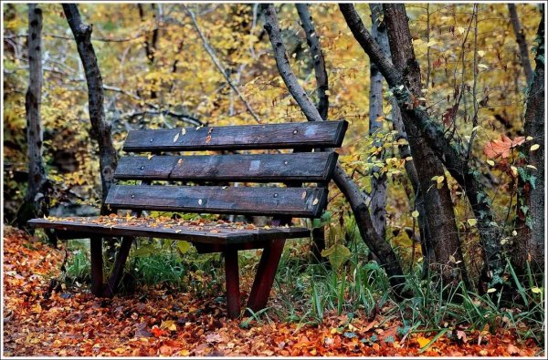 Старая скамейка в парке