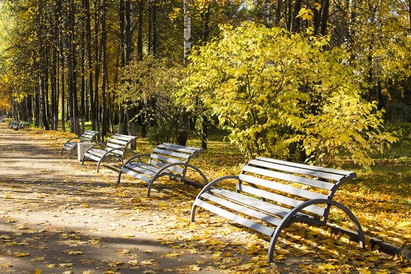 Йошкар Ола осень