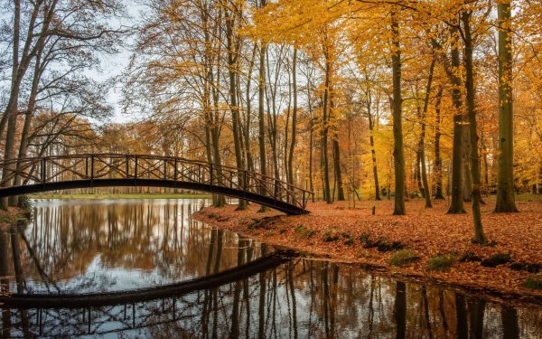 Осенний пейзаж Тарханы озеро с мостом