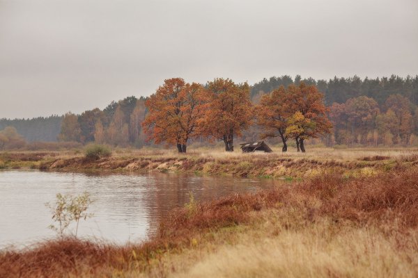 Хмурая осень