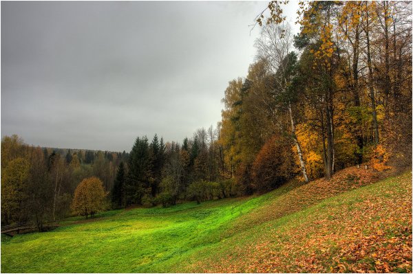 Пасмурный осенний день