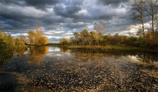 Пасмурный осенний день