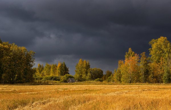 Пасмурное небо осень