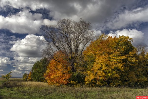 Небо осенью
