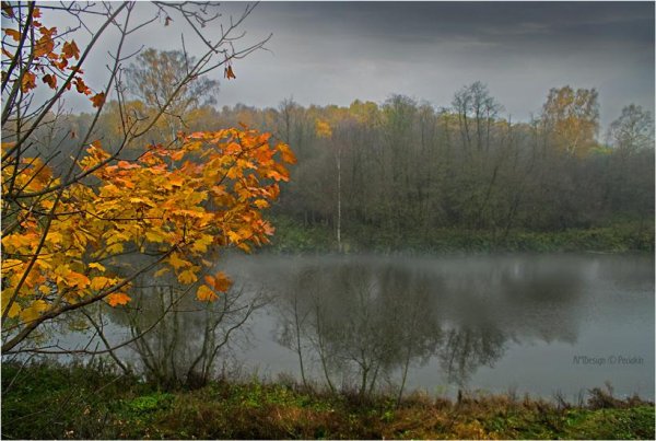 Осень пасмурный день
