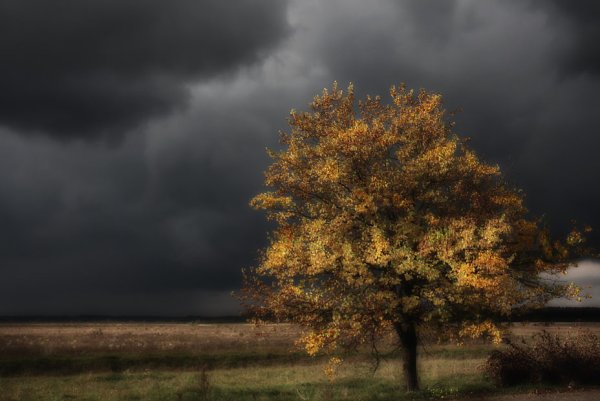 Осенние тучи