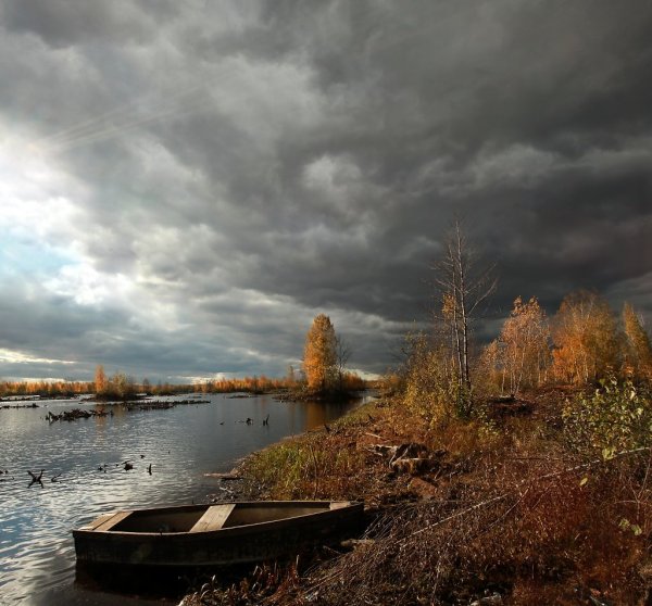 Пасмурный день