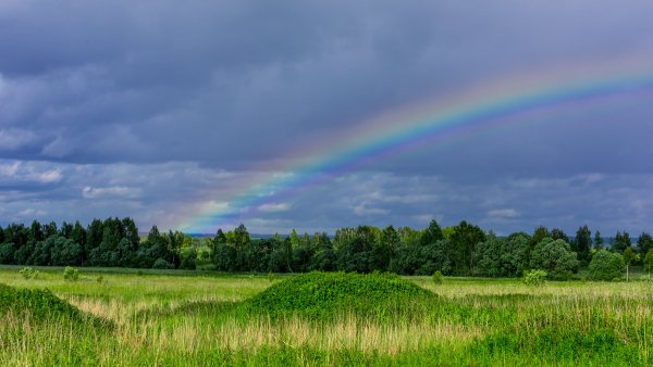 Природа Бежина Луга