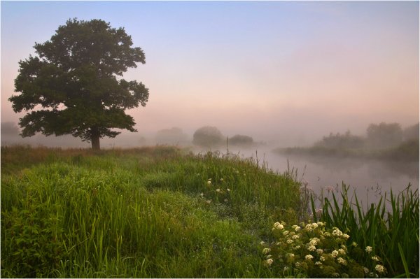 Бежин луг иллюстрации природы
