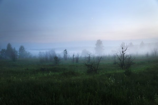 Бежин луг Бяша