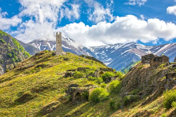 Цой-Педе Чечня