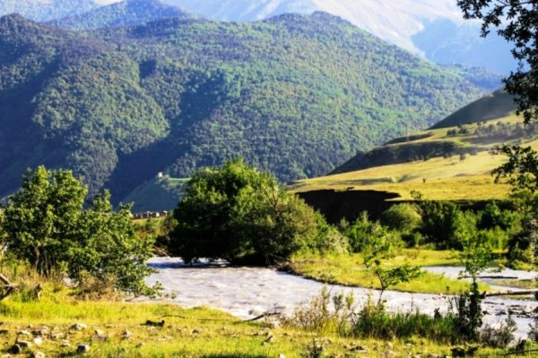 Башенный комплекс Таргим