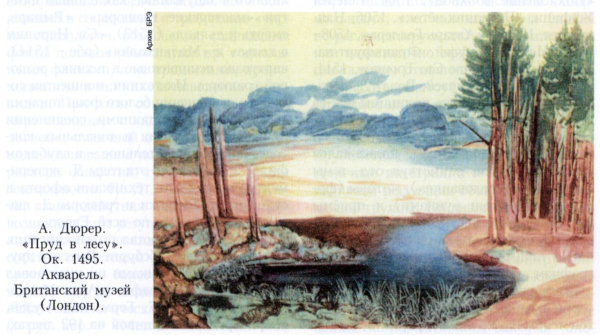 Альбрехт Дюрер акварель