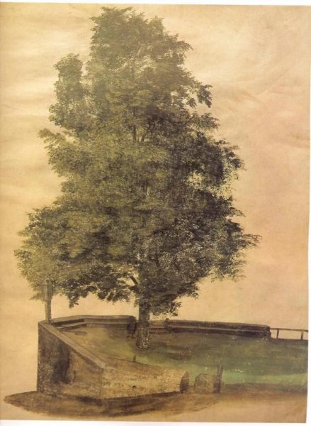 Альбрехт Дюрер вид на Арко