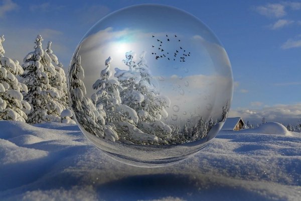 Зимняя фантазия