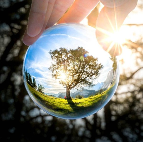 Природа в стеклянном шаре