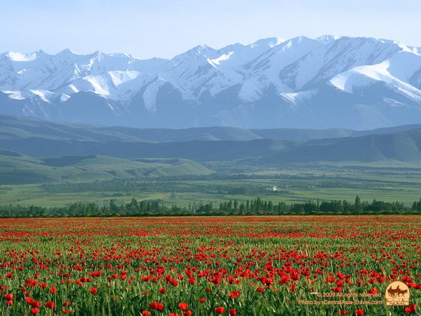 Ферганская Долина Киргизия